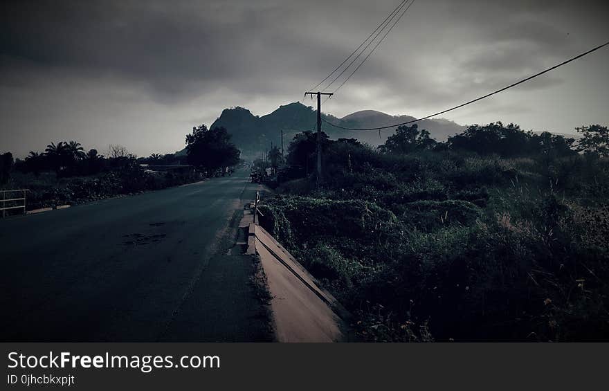 Gray Concrete Road Surrounded by Trees