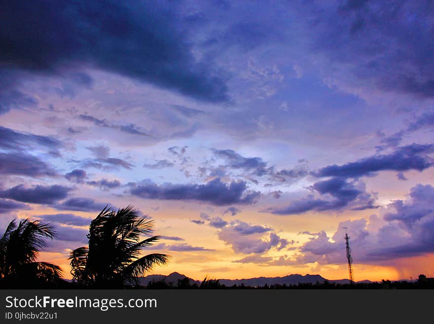 Photo of Cirrus Clouds during Golden Hour