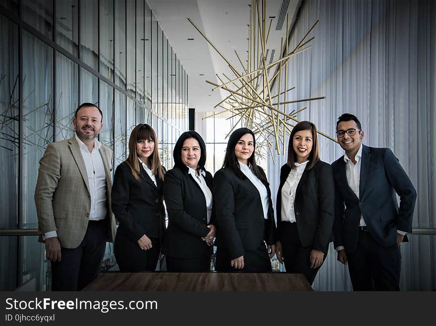 Group of People In Dress Suits