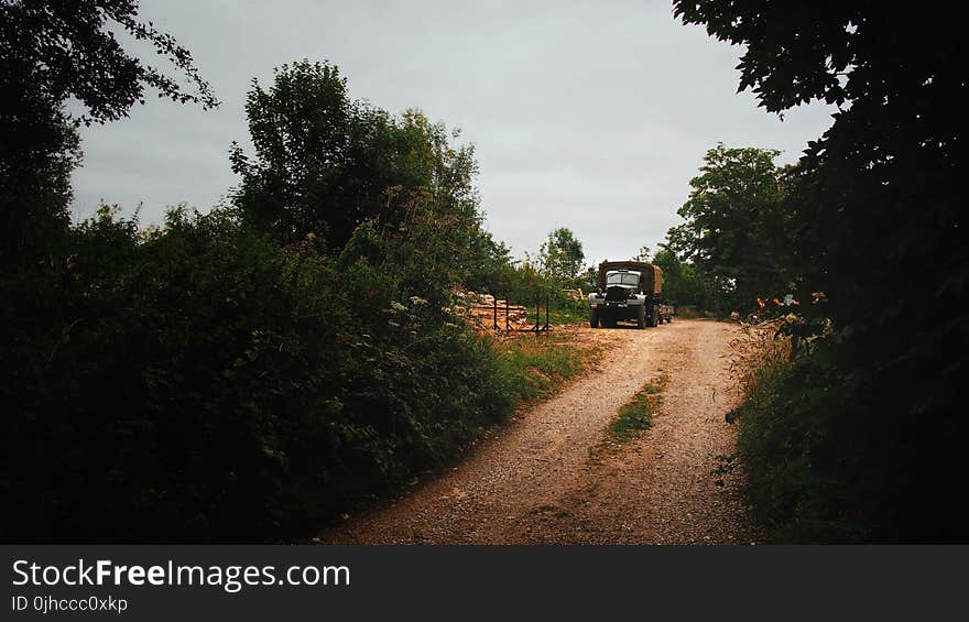 Semi Truck Surrounded by Green Leaf Trees Under Clear Gray Sky