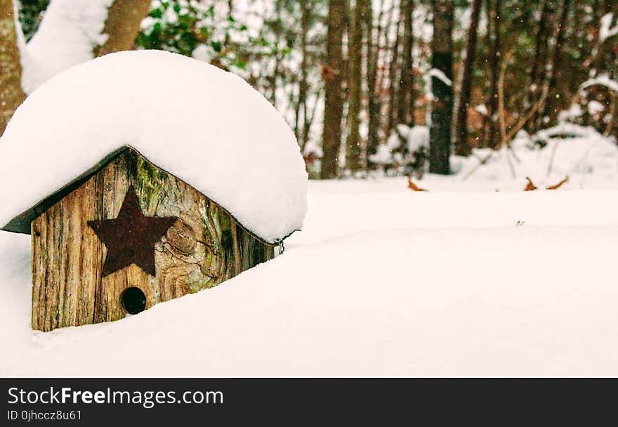 Brown Wooden Birdhouse Covered With Snow