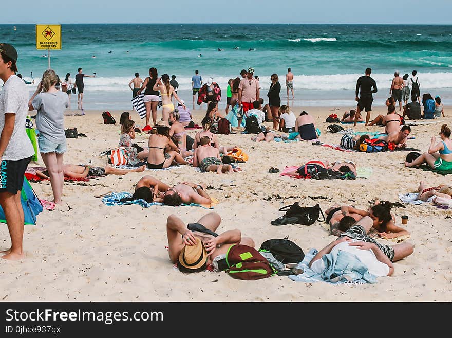 Group of People on Beach at Daytime