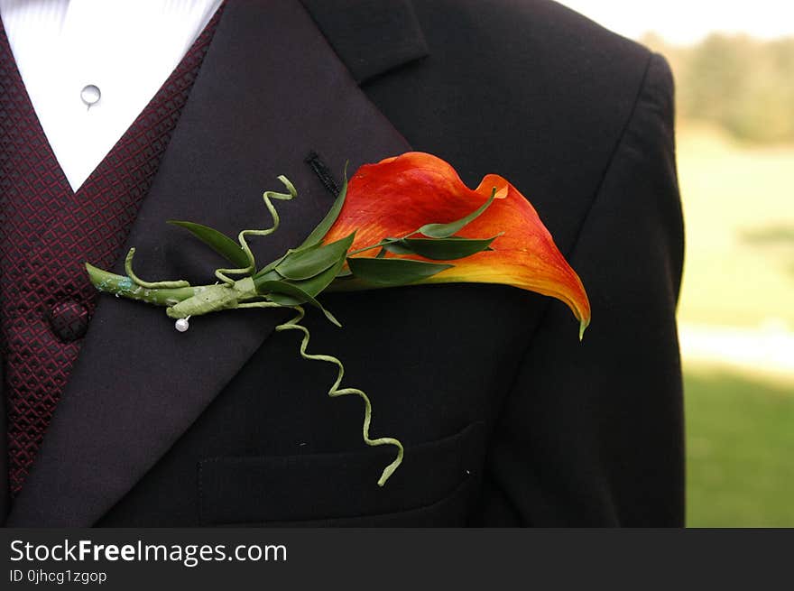 Macro Photography Of Black Formal Dress Coat With Red Flower Design