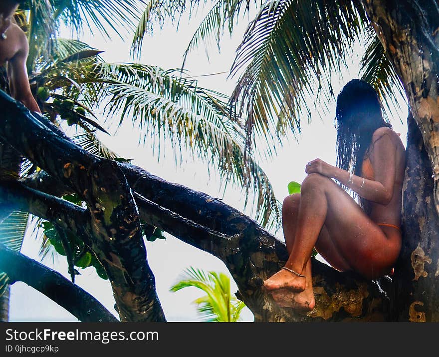 Woman Wearing Orange Bikini Sitting On Tree Branch