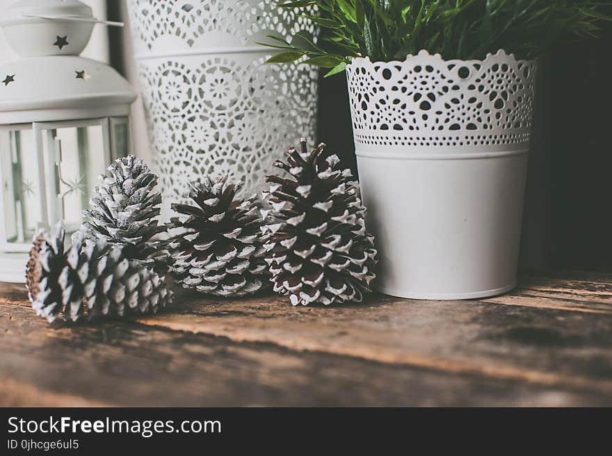 Photo of Pine Cones Near White Vase