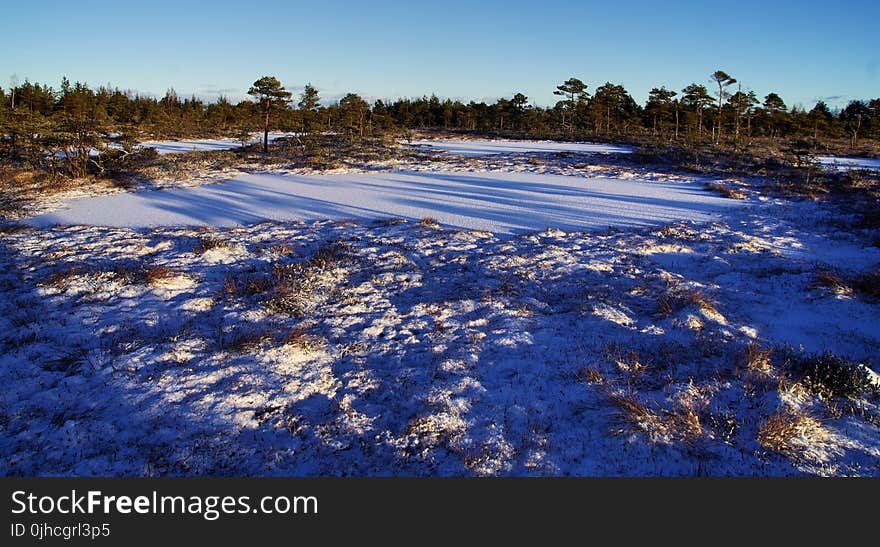 Photo of Field Covered With Snow