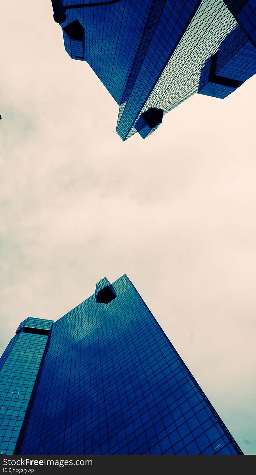 Black Tinted Glass High-rise Building Low Angle Photography