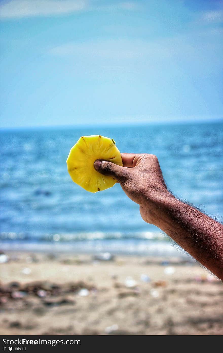 Person Holding Sliced Pineapple