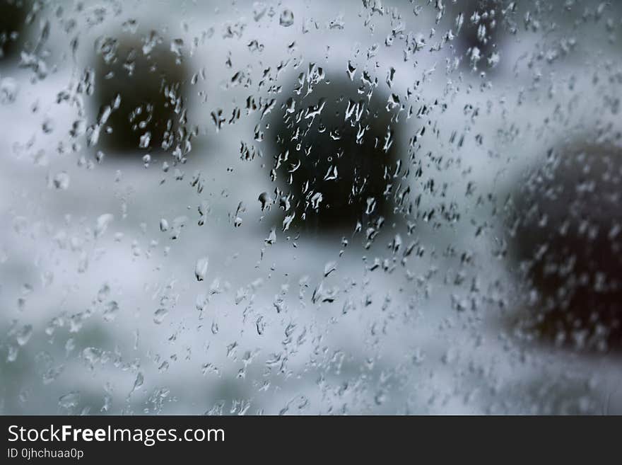 Shallow Focus Photography of Rain Droplets