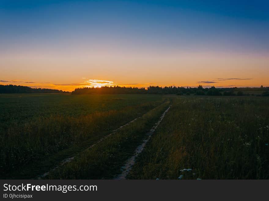 Photo of Green Grass Field during Golden Hours