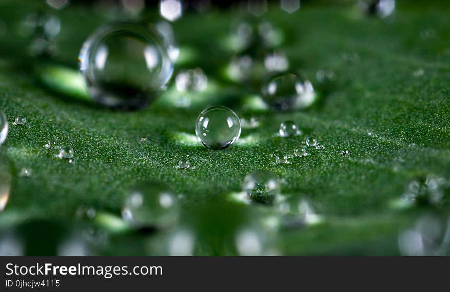 Macro Shot of Water Droplets