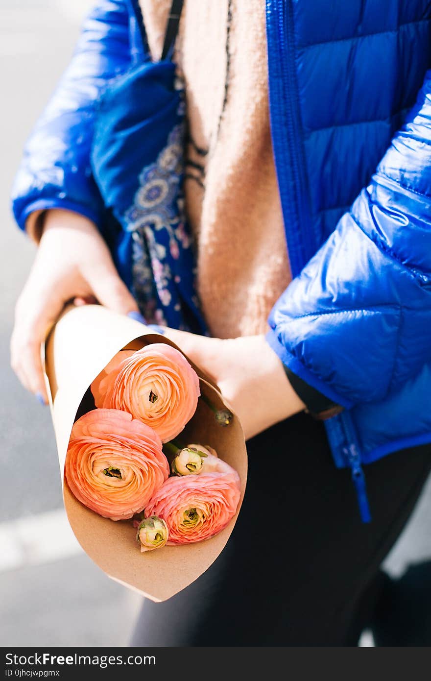 Pink Ranunculus Flower Bouquet on Persons Hand Wearing Blue Zip-up Jacket