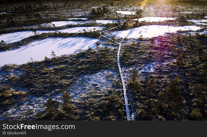 Aerial Photo of Frozen Lakes Surrounded by Trees