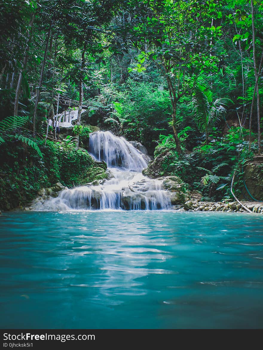 Photography Of Waterfalls Between Trees