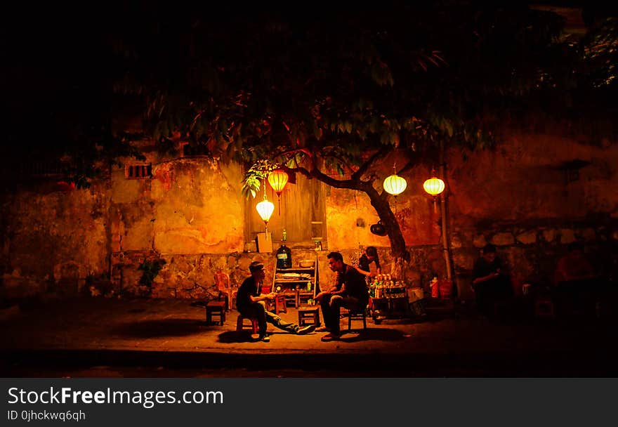 Two People Sitting Underneath Green Tree during Night Time