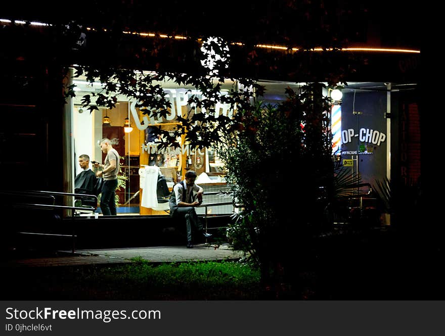 Man Near Green Leaf Trees