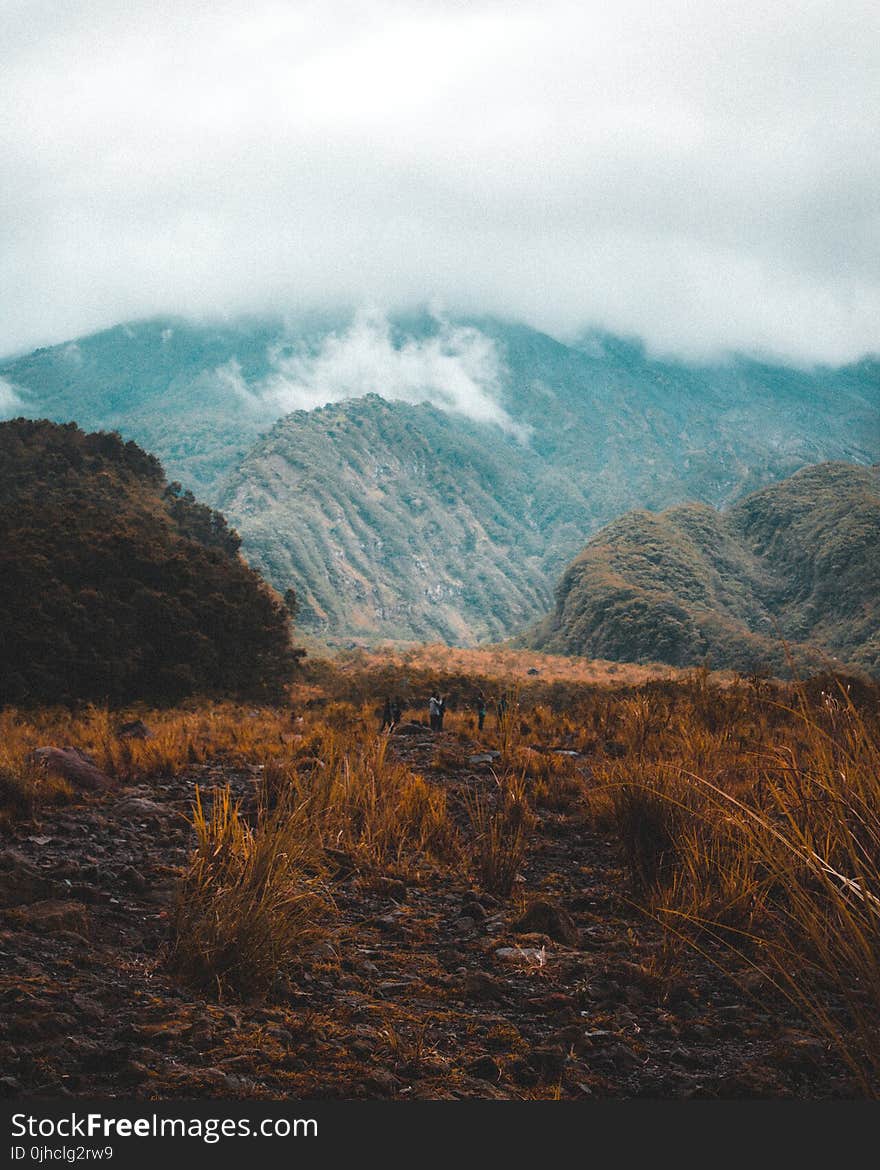 Cloudy Mountain