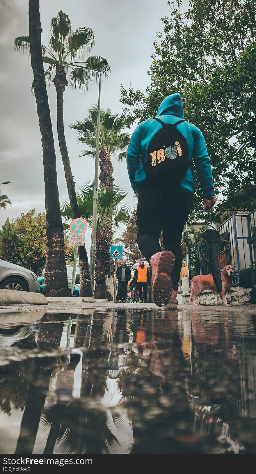 Person in Blue Hoodie With Black Backpack