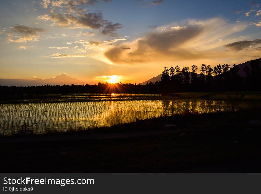 Silhouette Of Rice Fields Under Calm Sky During Golden Hour