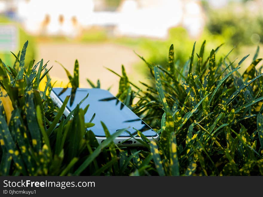 Selective Focus Photography of Black iPhone Near Plants