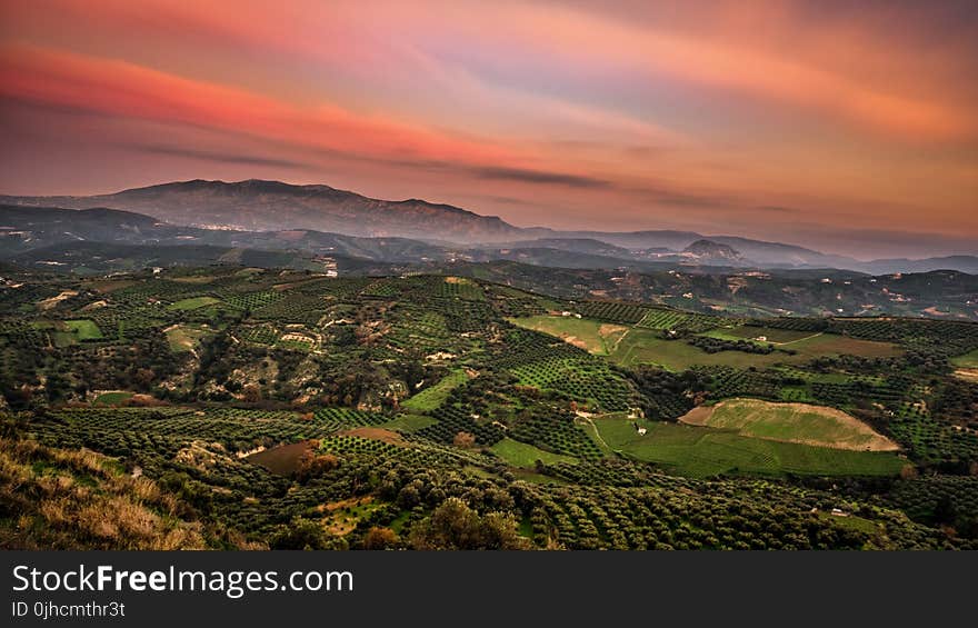 Green Field Photo