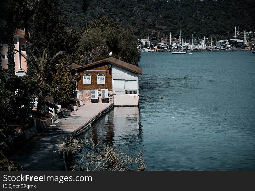 Wooden Bridge Leading to Brown House Near Body of Water Photo