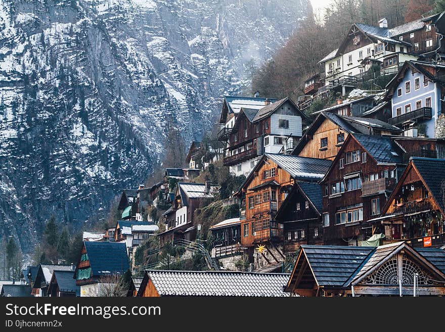 Assorted-color Wooden House on Mountain