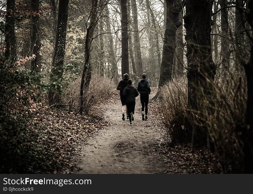 Monochrome Photography of People Jogging Through The Woods