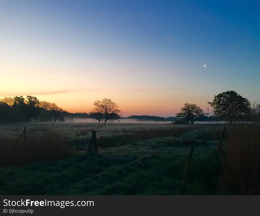 Green Field With Smog during Sunrise