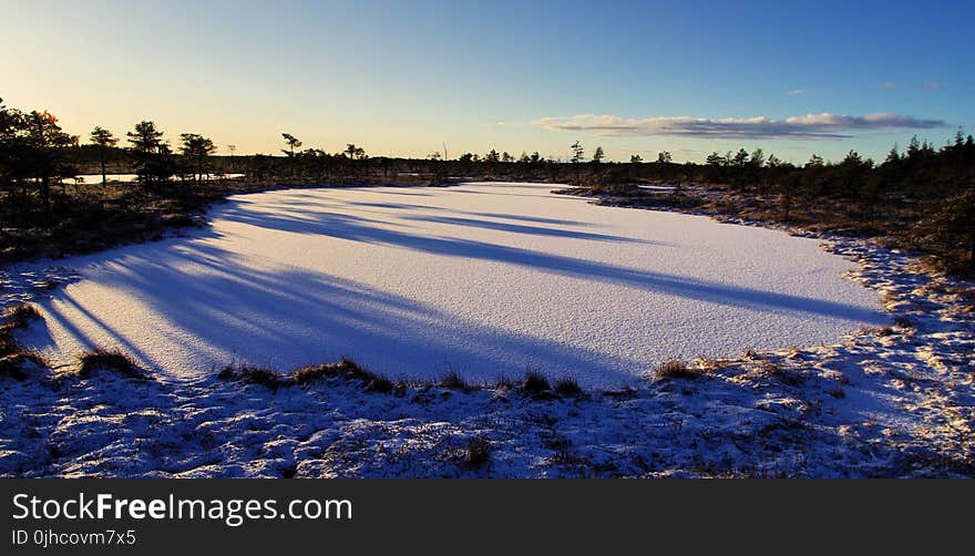 Photo of Frozen Lake Surrounded by Trees