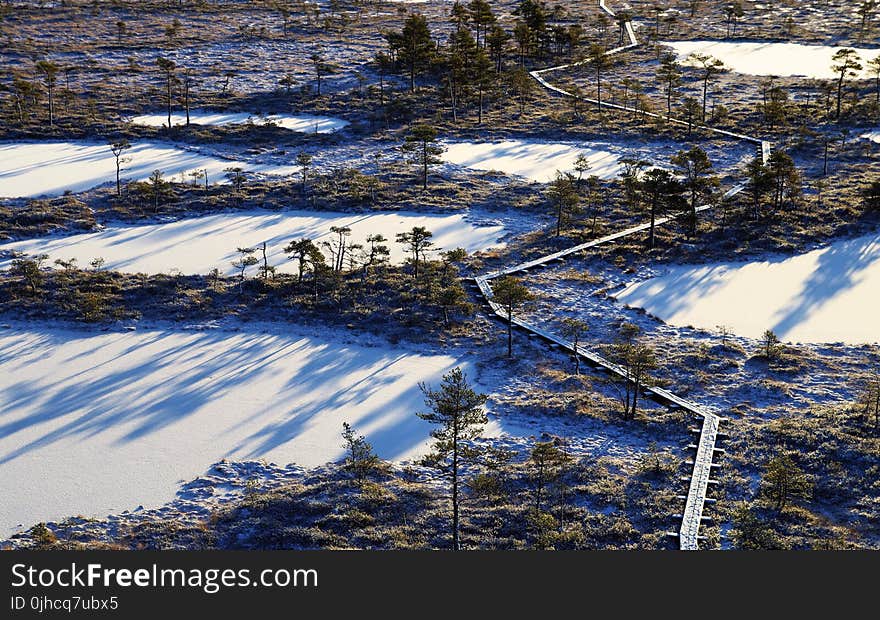 Aerial Photography of Frozen Lakes Surrounded by Trees