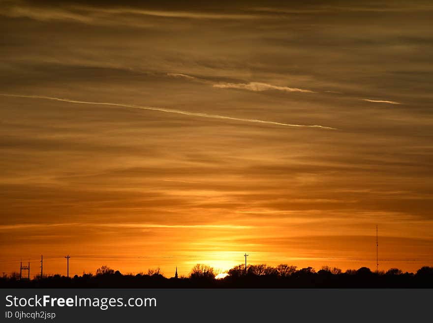 Silhouette Photo of Trees during Golden Hour