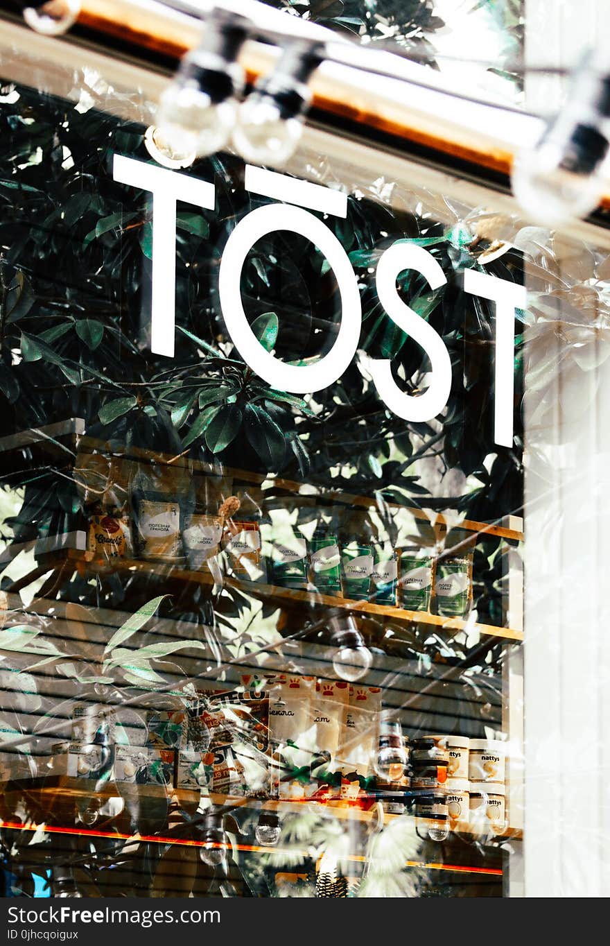 Photo of Tost Store Front