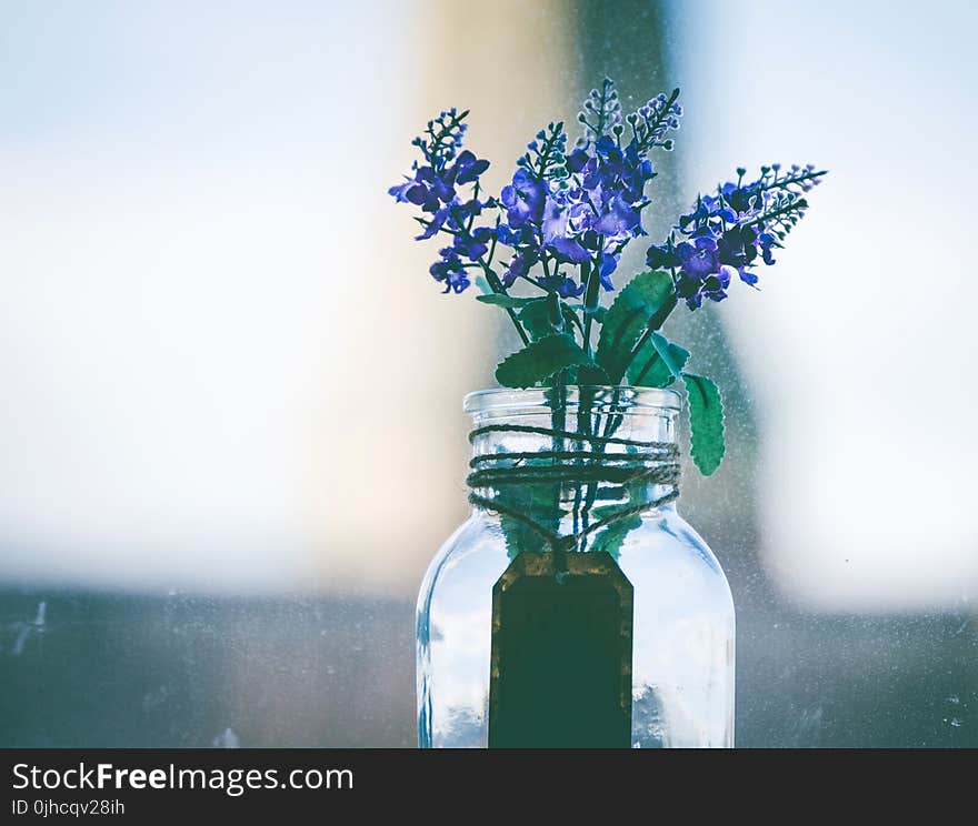 Close-Up Photography of Purple Flowers in Clear Glass Vase