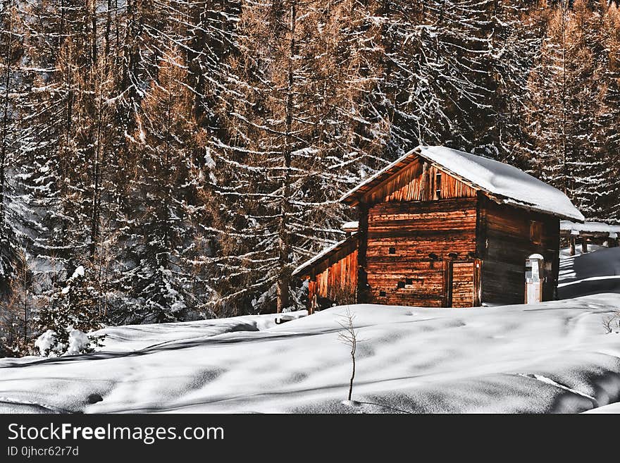 Brown Wooden Cabin In Snowy Landscape Near Forest