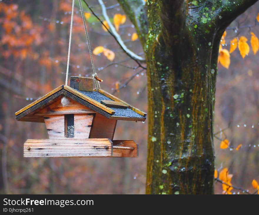 Brown and Blue Wooden Birdhouse