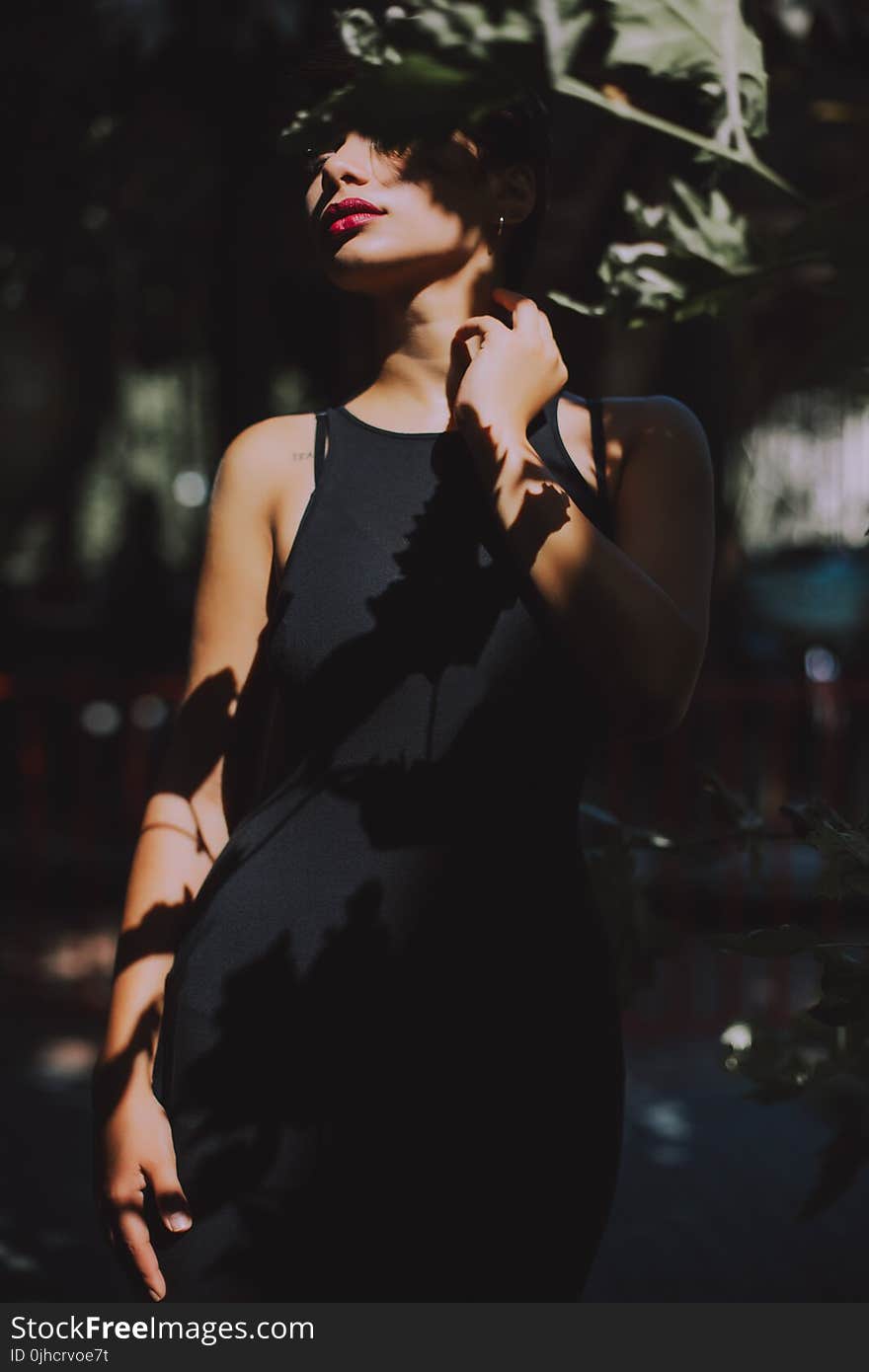 Woman Wearing Black Sleeveless Top Dress Under the Tree