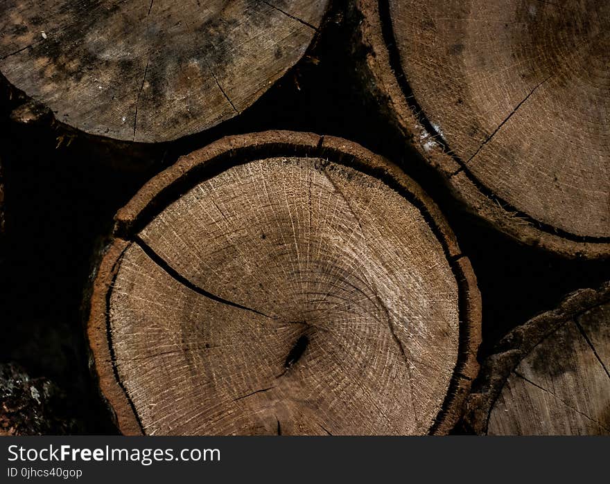 Round Brown Wooden Slab