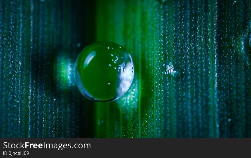 Closeup Photography of Dew