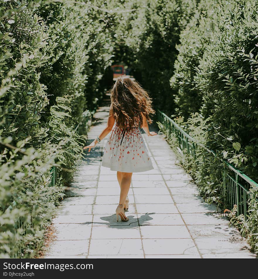 Photography of Woman in White and Red Floral Midi Dress Walking on Pathway