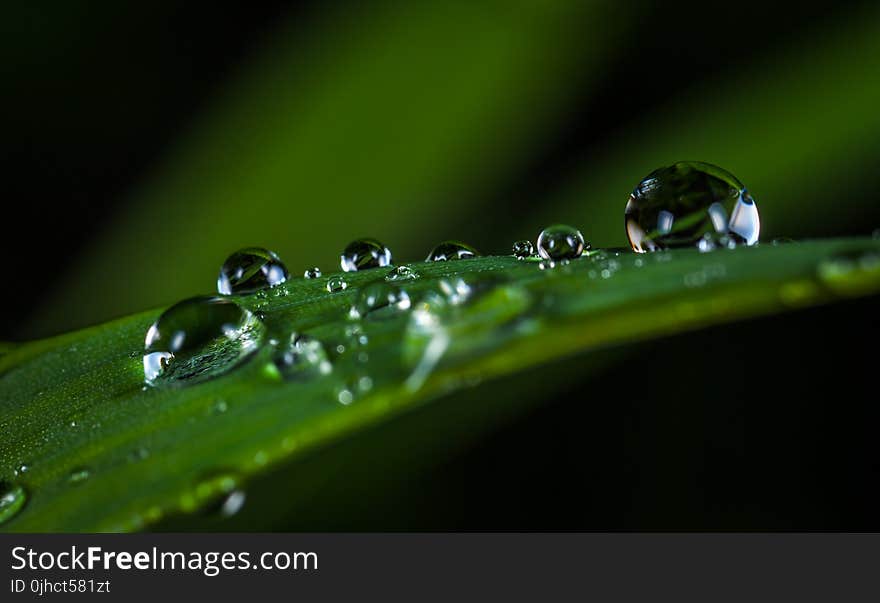 Macro Photography of Water Drops