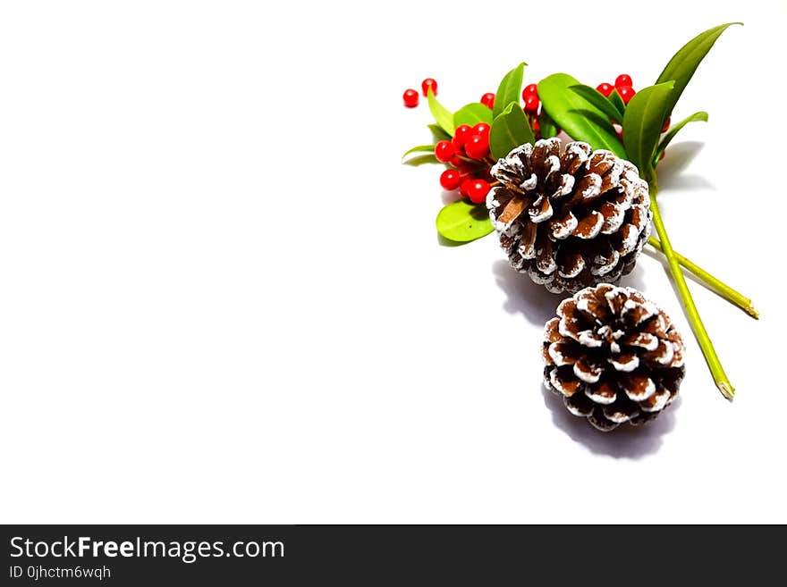 Two Pine Cones