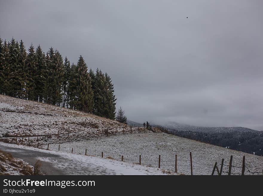 Photo of Field Near Green Trees