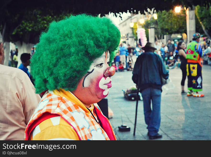 Photography of Clown With Green Hair