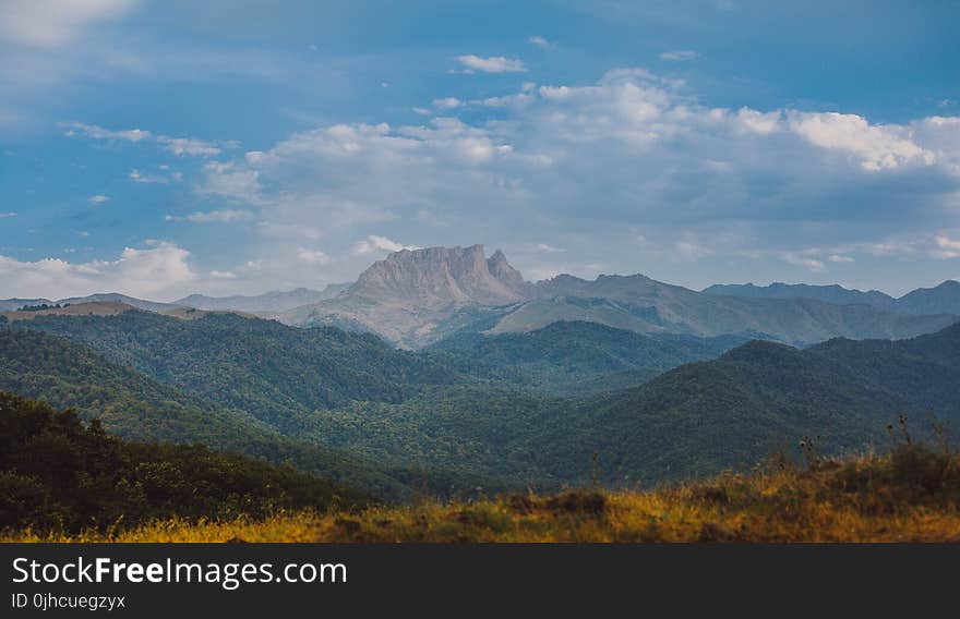 Green Forest With Brown Rock Formation Background