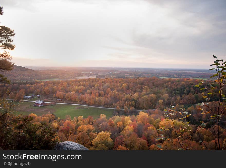 Aerial Photography of Yellow Leaf Trees Under Nimbus Clouds