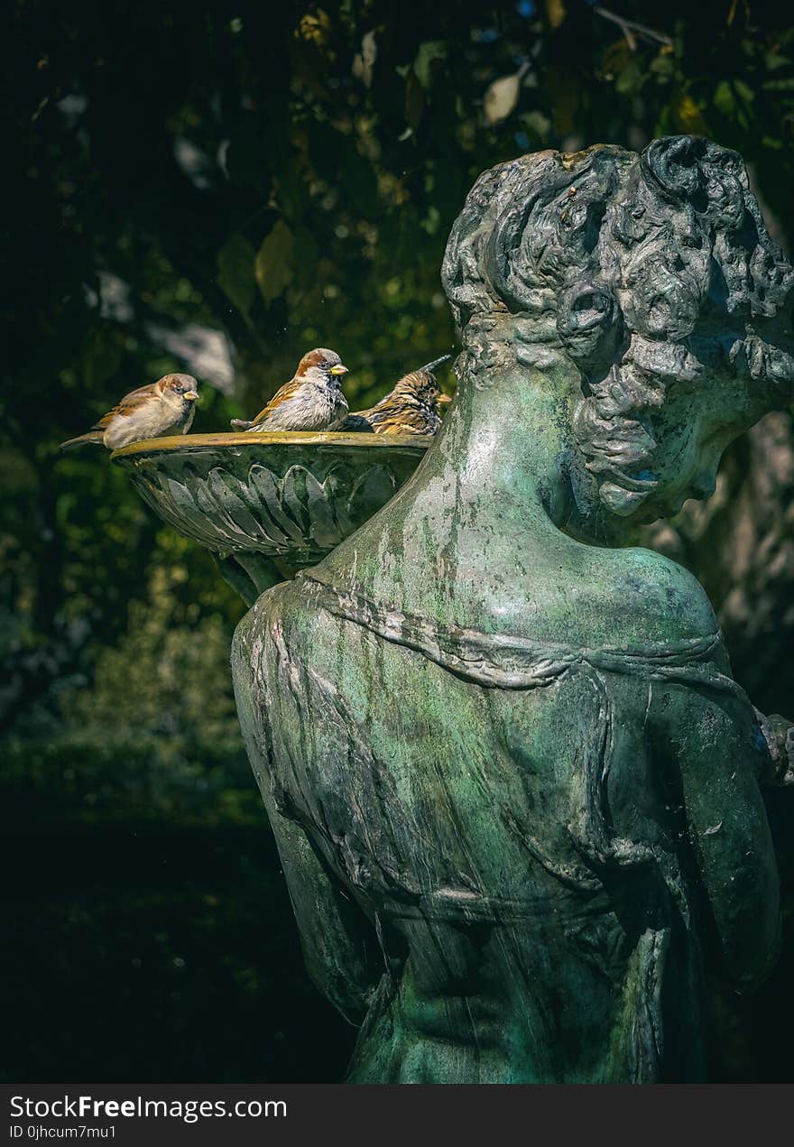 Woman Statue With Bird Bath