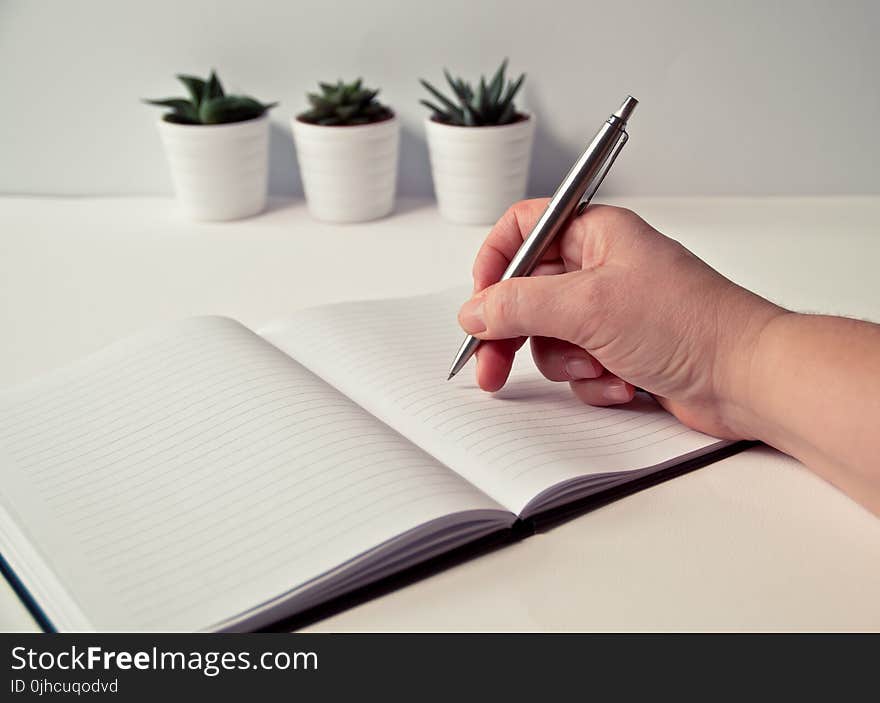 Person Holding Silver Retractable Pen in White Ruled Book