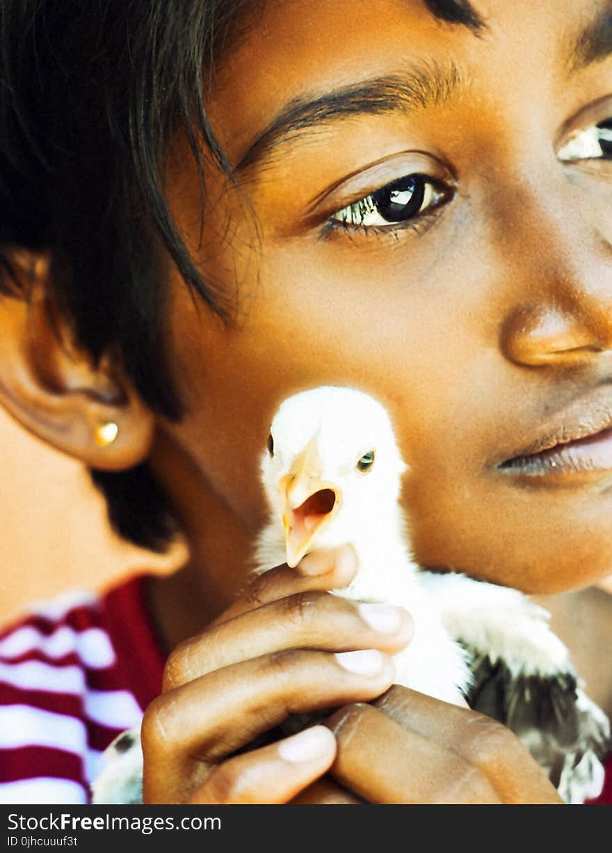 Child Holding White Chick