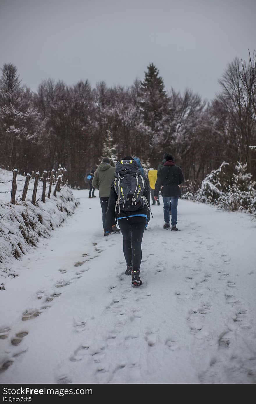 People Walking on Snowy Road during Winter